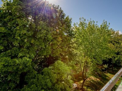 bluedom_nieruchomosci_ms_310_10.jpg