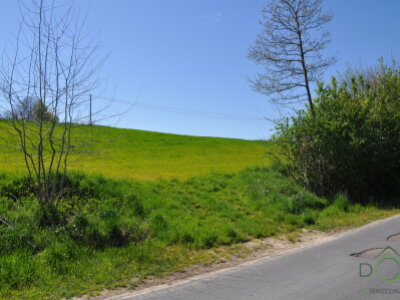 DSC_0921.JPG