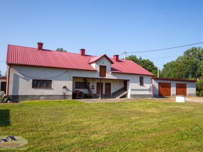 jolanta_serwin_ds_JSN-DS-3005-2_4.jpg