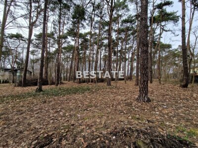 bestate_nieruchomosci_zs_BESP-GS-13786-67_4.jpg