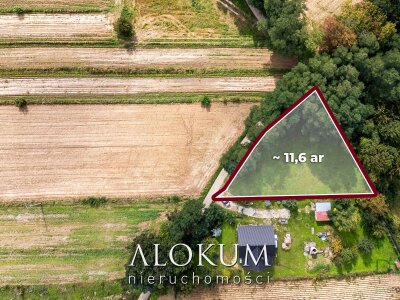 alokum_nieruchomosci_zs_3387_3.jpg