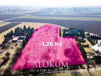 alokum_nieruchomosci_zs_3431_1.jpg