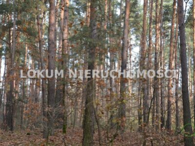 lokum_nieruchomosci_dt_zs_LOK-GS-1467_9.jpg