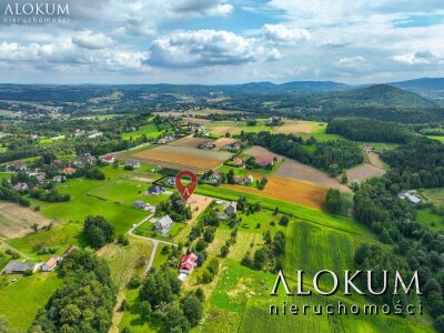 alokum_nieruchomosci_zs_3220_5.jpg