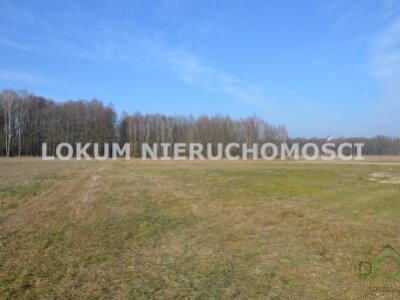 lokum_nieruchomosci_dt_zs_LOK-GS-1745_2.jpg