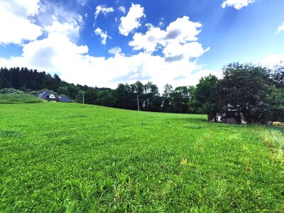 Zdjęcie WhatsApp 2025-06-25 o 15.32.08_c0e8a78a.jpg