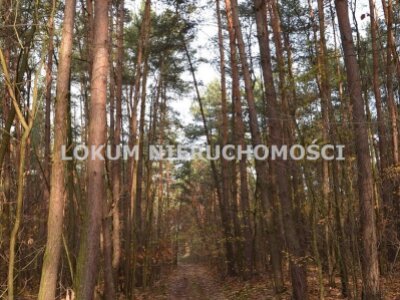 lokum_nieruchomosci_dt_zs_LOK-GS-1467_20.jpg