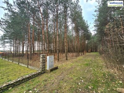 waliszczak_nieruchomosci_zs_GS-14871_1.jpg