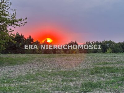 era_nieruchomosci_zs_ERA-GS-661_1.jpg