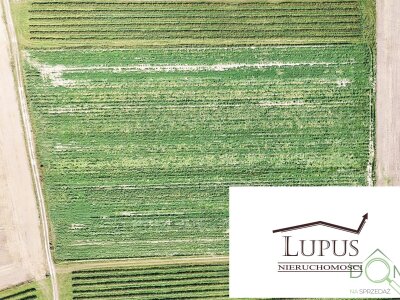 lupus_nieruchomosci_zs_2197_12.jpg