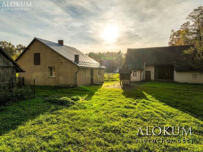 alokum_nieruchomosci_ds_3167_10.jpg