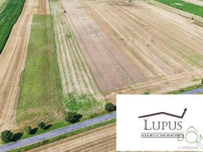 lupus_nieruchomosci_zs_2199_4.jpg